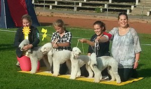 BIS -3 Uppfödargrupp i Kalix Nat. 2014 (Liam, Hebbe, Freja, Bella)! 